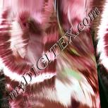 Colour:B