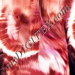 Colour:J