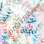 Colour:B