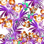 Colour:B