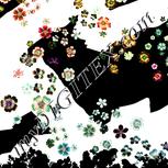 Colour:A
