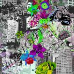 Colour:C