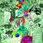 Colour:K