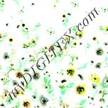 Colour:K