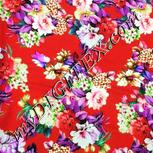 Colour:B