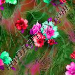 Colour:B