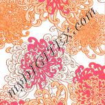 Colour:B