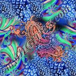 Colour:F