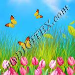 Colour:A