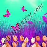 Colour:B