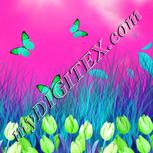 Colour:C