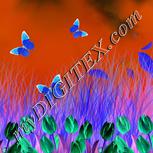 Colour:F