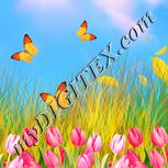 Colour:J