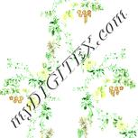 Colour:K