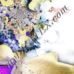 Colour:B