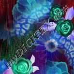 Colour:F