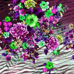 Colour:C