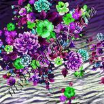Colour:D