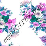 Colour:B