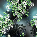 Colour:C