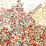 Colour:A