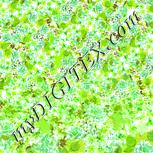 Colour:D