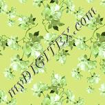 Colour:K