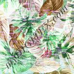 Colour:C