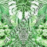 Colour:C