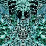 Colour:F