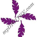 Colour:C