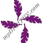 Colour:D