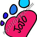 Colour:A