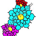 Colour:A