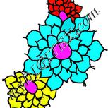 Colour:B