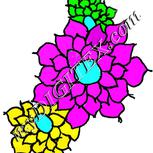 Colour:C