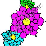 Colour:D