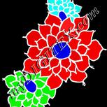 Colour:F