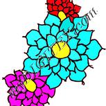 Colour:J