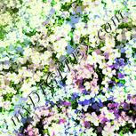 Colour:K