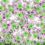 Colour:B
