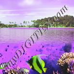 Colour:D