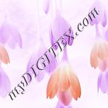 Colour:A
