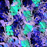 Colour:F