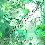 Colour:C