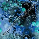 Colour:F