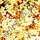 Colour:K