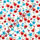 Colour:A