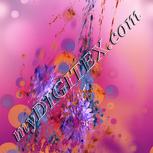 Colour:J