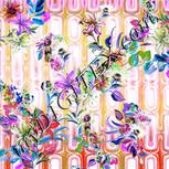 Colour:B
